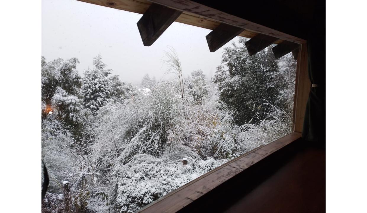 IMG-20240709-WA0195