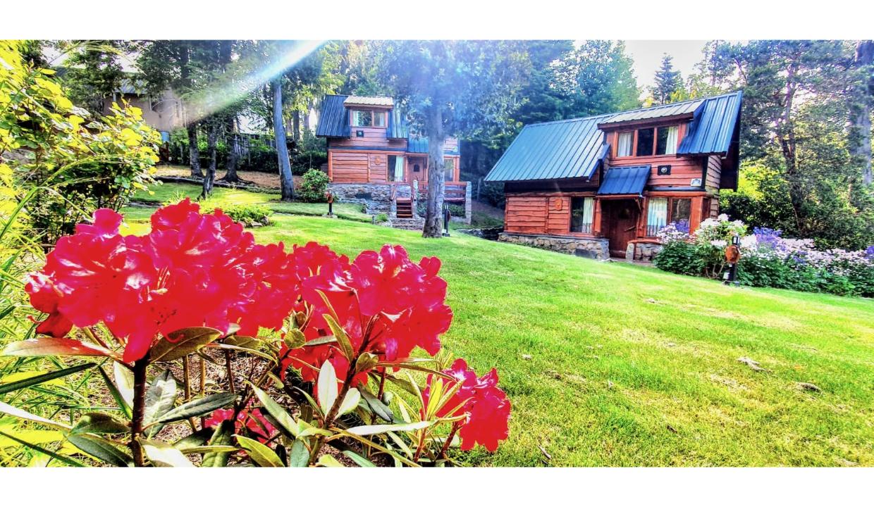 IMG-20250819-WA0135~2